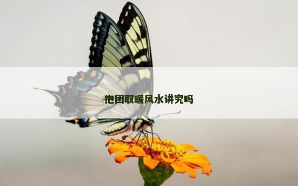抱團取暖風水講究嗎
