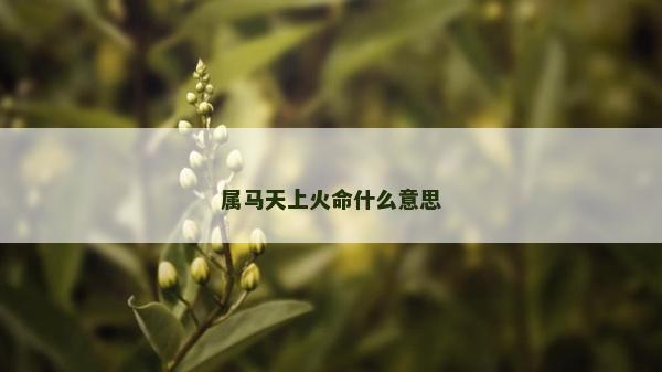 屬馬天上火命什么意思