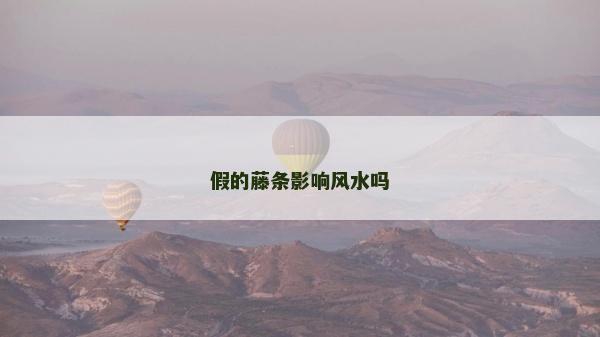假的藤條影響風水嗎