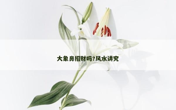 大象鼻招財嗎?風水講究