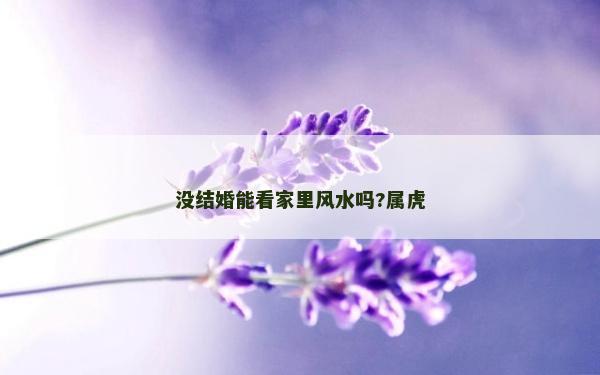 沒結婚能看家里風水嗎?屬虎