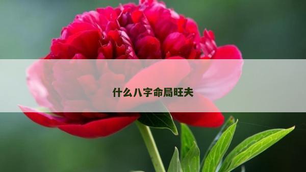 什么八字命局旺夫 什么八字命局旺夫