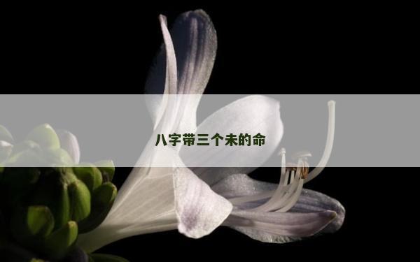 八字帶三個未的命 八字帶三個未的命