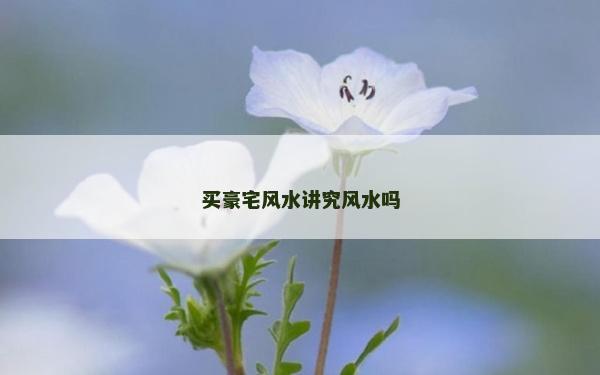 買豪宅風水講究風水嗎