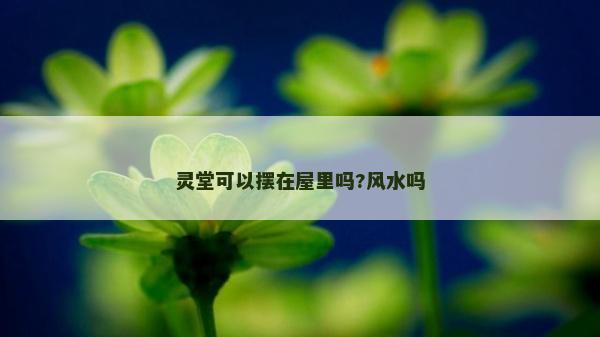 靈堂可以擺在屋里嗎?風水嗎