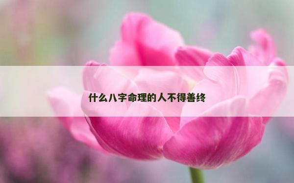 什么八字命理的人不得善終