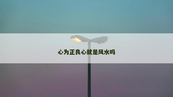 心為正良心就是風水嗎