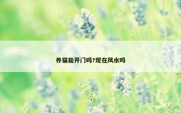養貓能開門嗎?現在風水嗎