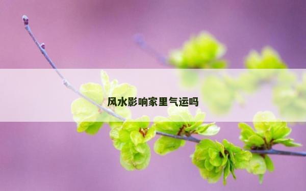 風(fēng)水影響家里氣運(yùn)嗎