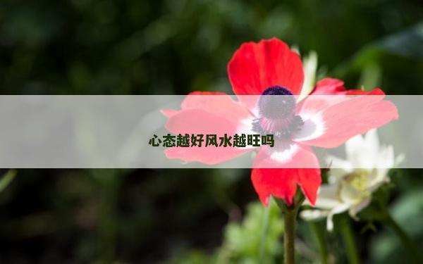 心態越好風水越旺嗎