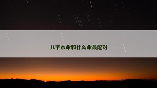 八字木命和什么命最配對