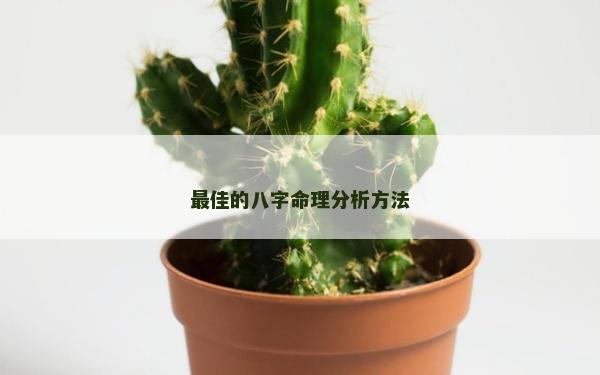 最佳的八字命理分析方法