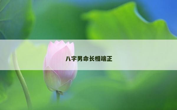 八字男命長相端正