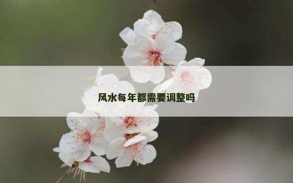風水每年都需要調整嗎