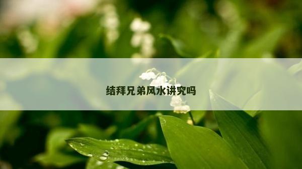 結拜兄弟風水講究嗎