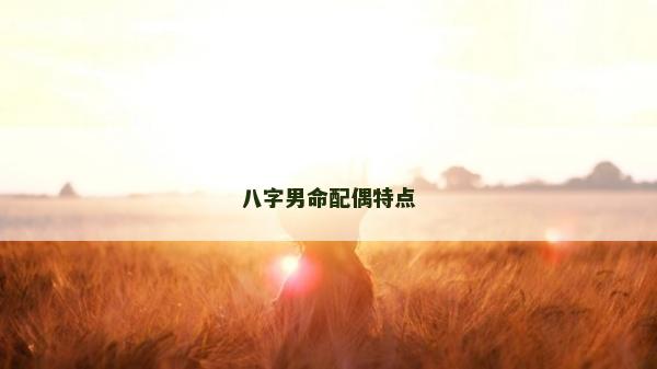 八字男命配偶特點(diǎn)