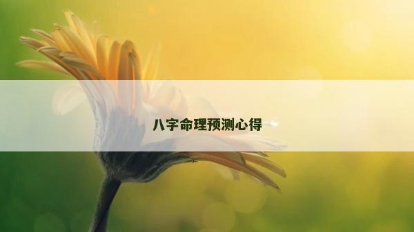 八字命理預(yù)測(cè)心得