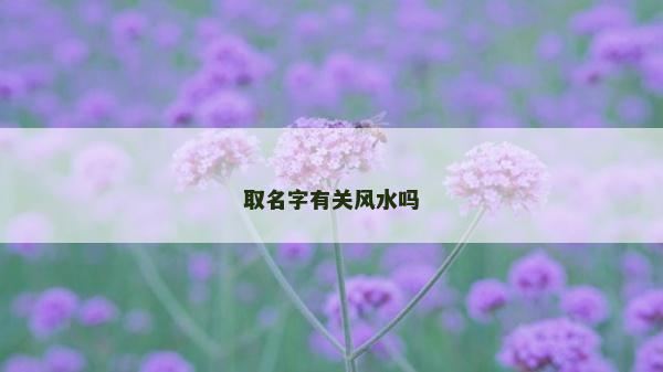 取名字有關(guān)風(fēng)水嗎