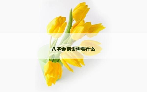 八字會借命需要什么