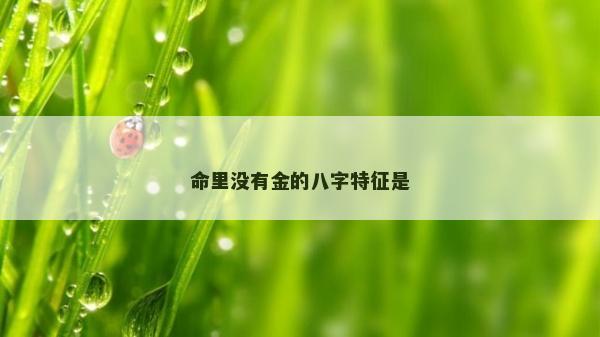 命里沒有金的八字特征是