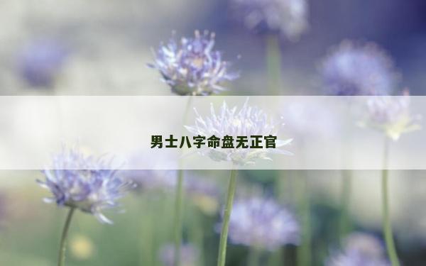 男士八字命盤無正官