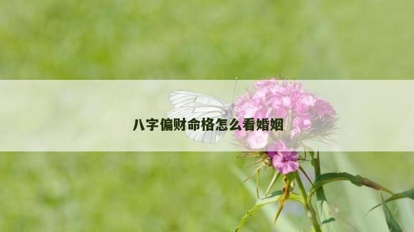 八字偏財命格怎么看婚姻