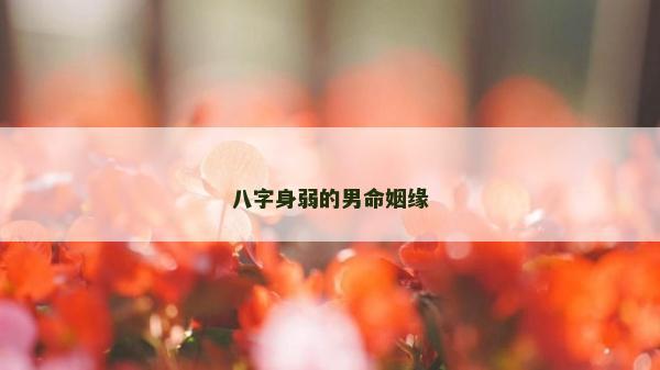 八字身弱的男命姻緣