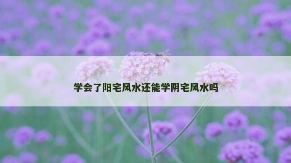 學會了陽宅風水還能學陰宅風水嗎
