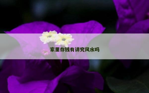 家里存錢有講究風水嗎