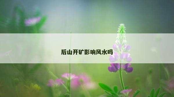 后山開礦影響風水嗎