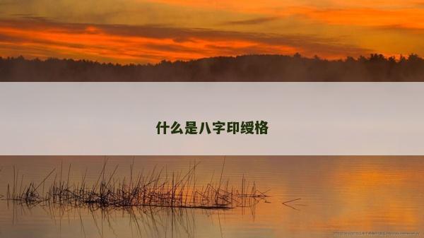 什么是八字印綬格