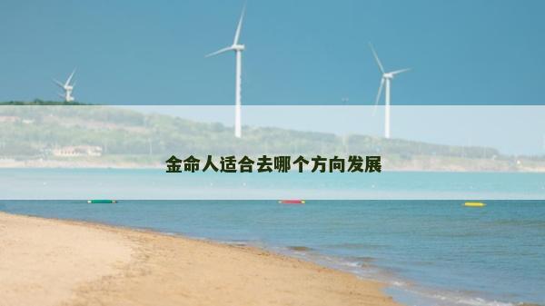 金命人適合去哪個方向發展