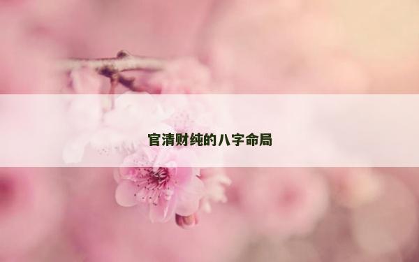官清財純的八字命局