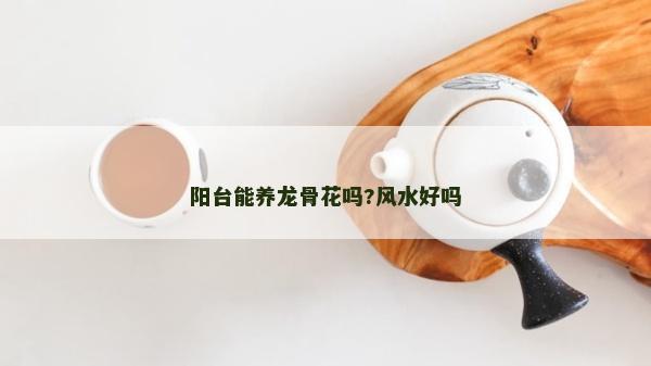 陽臺能養(yǎng)龍骨花嗎?風(fēng)水好嗎