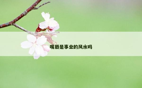 嘴唇是事業的風水嗎