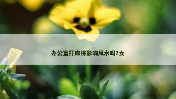 辦公室打麻將影響風(fēng)水嗎?女