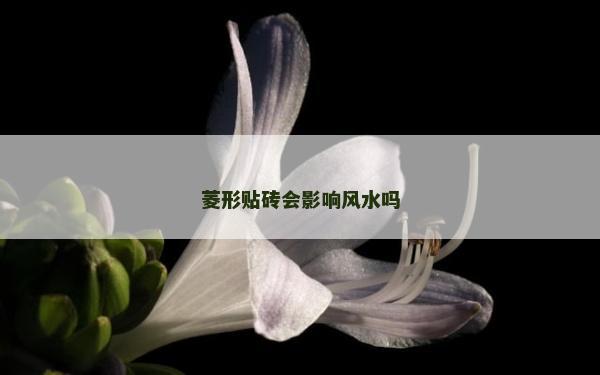 菱形貼磚會影響風水嗎