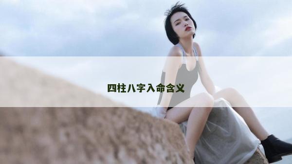 四柱八字入命含義