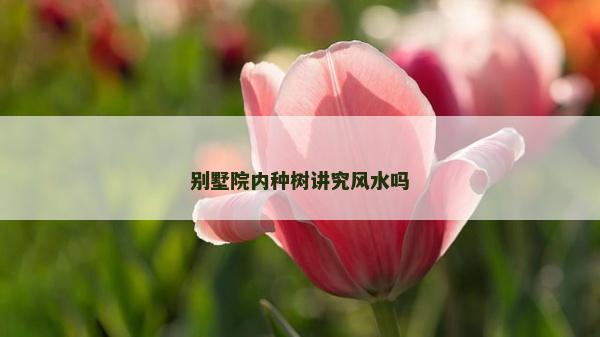 別墅院內種樹講究風水嗎