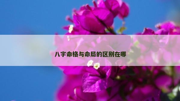 八字命格與命局的區別在哪