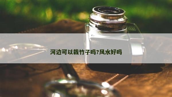 河邊可以栽竹子嗎?風(fēng)水好嗎