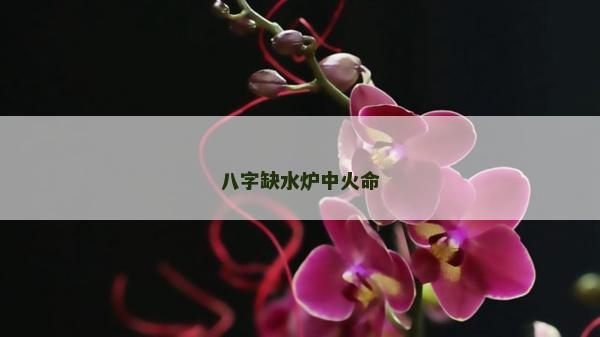 八字缺水爐中火命
