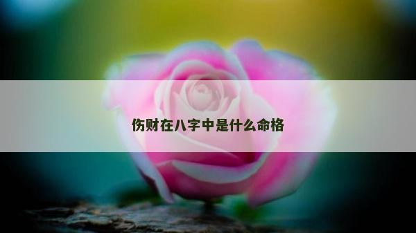 傷財在八字中是什么命格