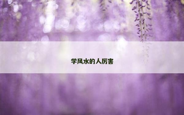 學風水的人厲害
