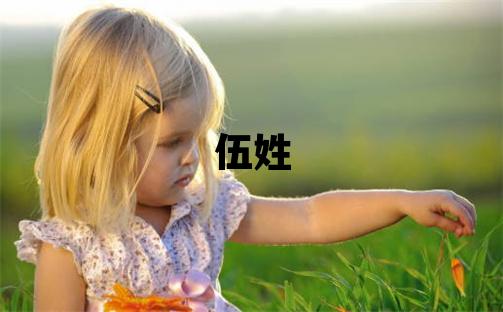 伍姓大氣文雅的男孩名字,取什么名字好
