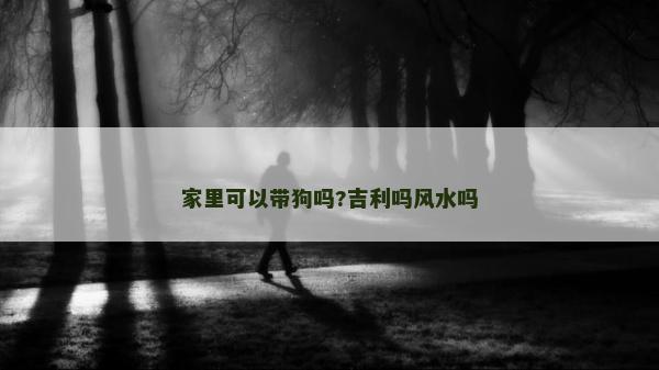 家里可以帶狗嗎?吉利嗎風水嗎
