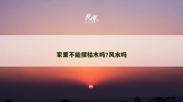 家里不能擺枯木嗎?風水嗎