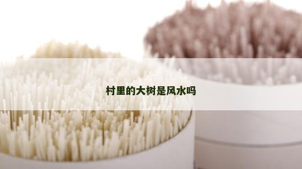 村里的大樹是風水嗎