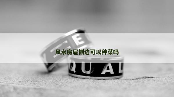 風水房屋側邊可以種菜嗎