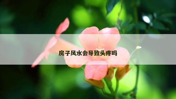 房子風(fēng)水會(huì)導(dǎo)致頭疼嗎